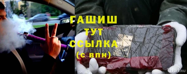 прущий лед Алзамай