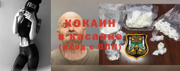 гидра Абаза