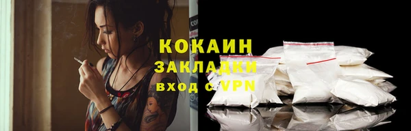 прущий лед Алзамай