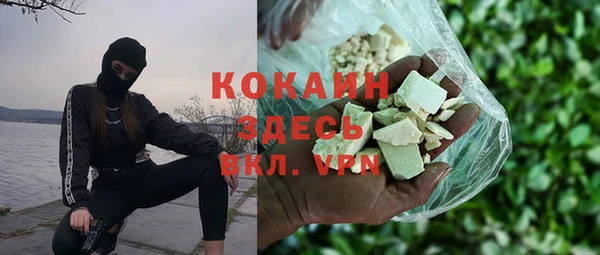 прущий лед Алзамай